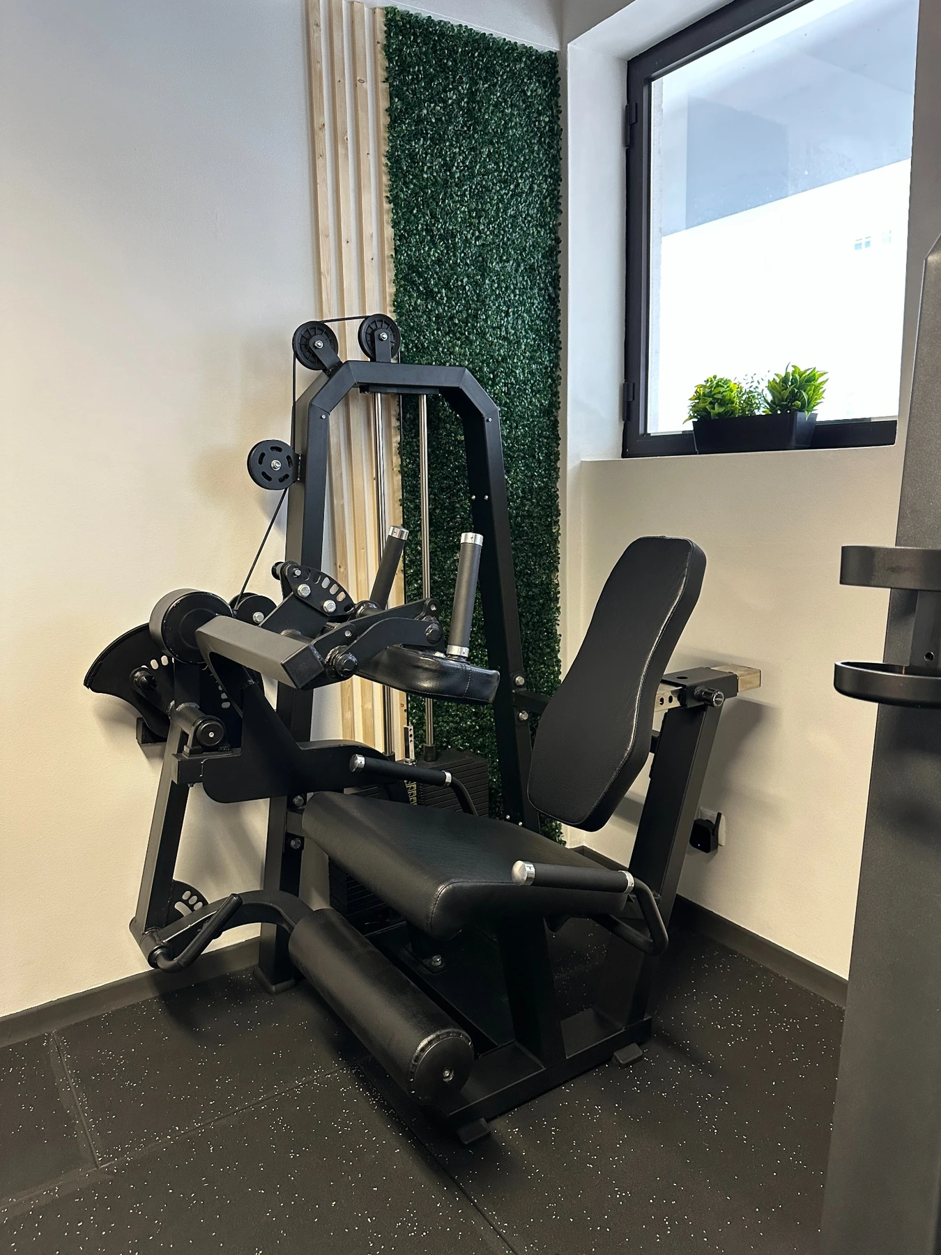 Leg Extension & Seated Leg Curl