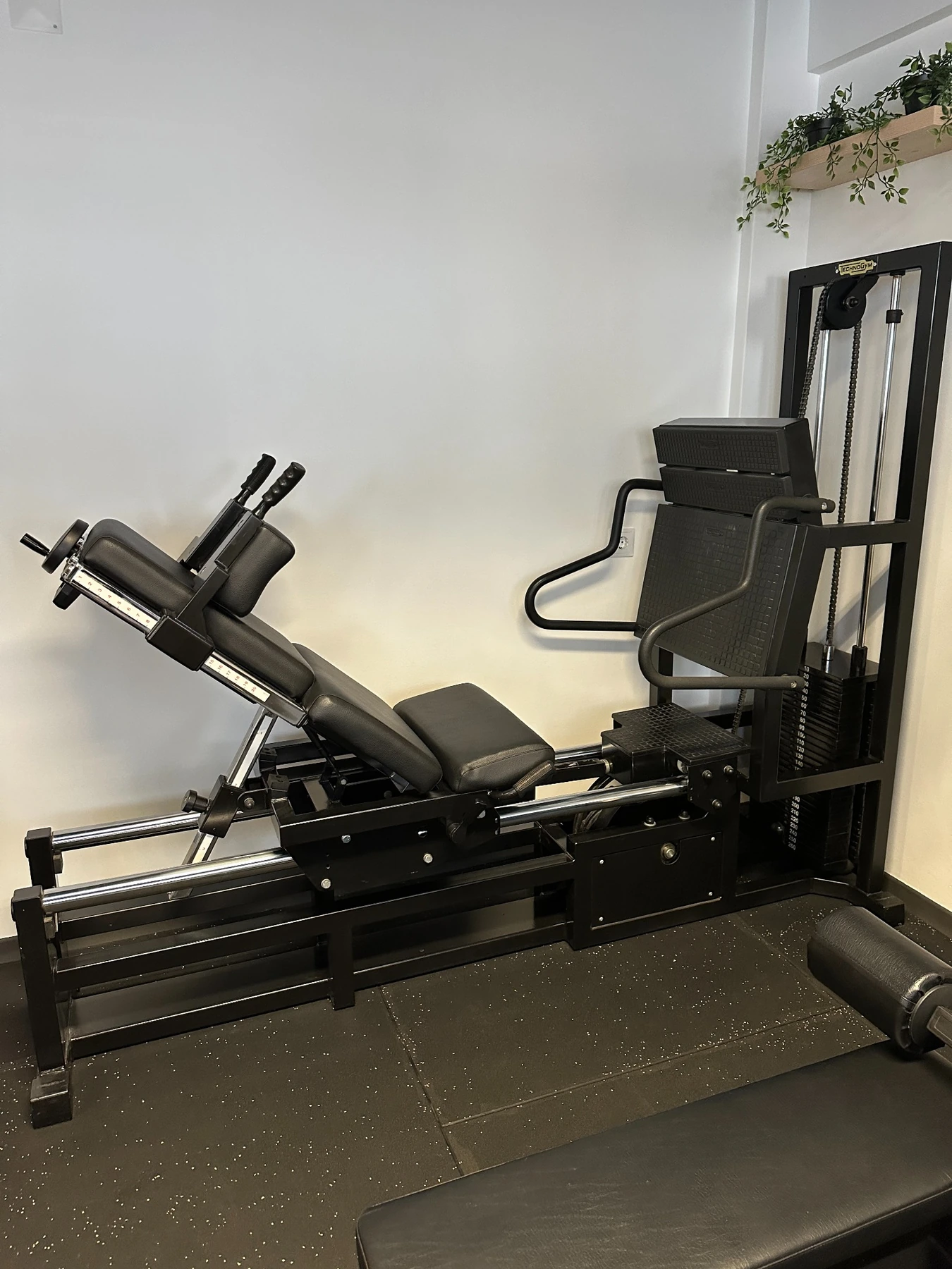 Leg Press Horizontal