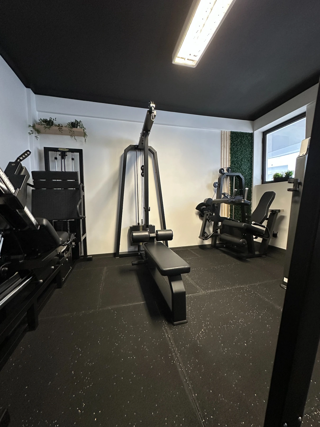 Zona de treino de pernas e costas